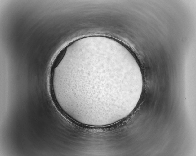 X0000093531512200711021301