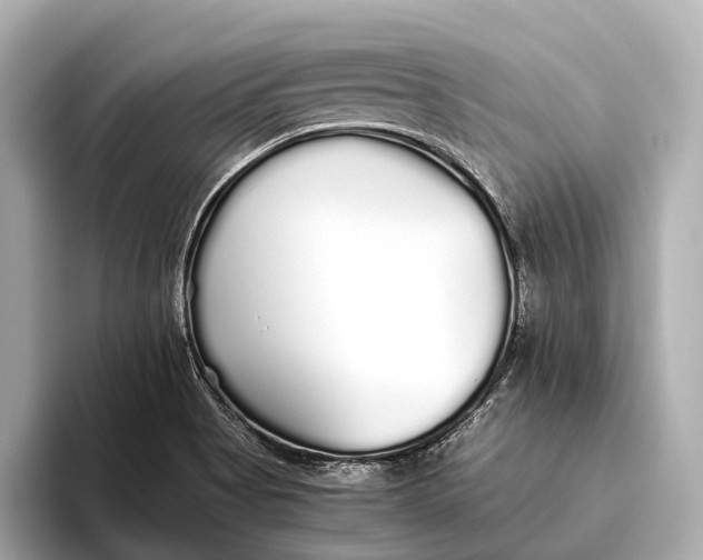 X0000093531513200711021301