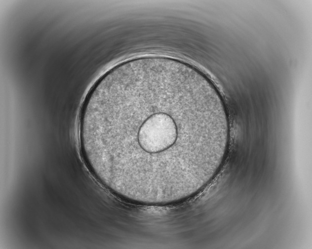 X0000093531514200711021301