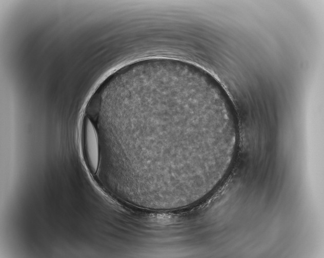 X0000093531515200711021301