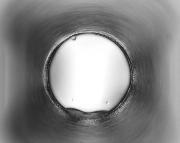 X0000093531517200711021301