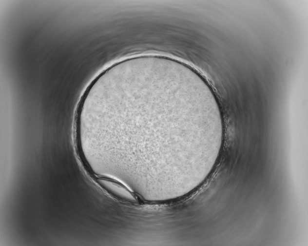 X0000093531518200711021301