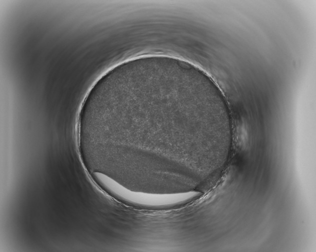 X0000093531519200711021301