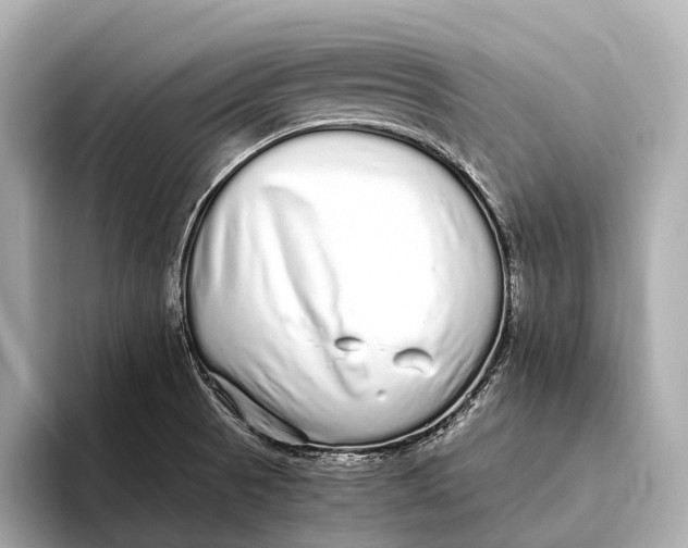 X0000093531521200711021301