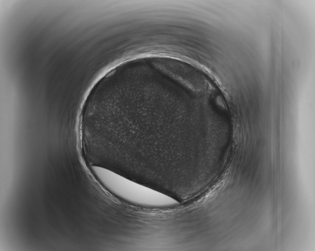 X0000093531522200711021301