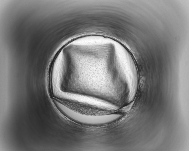 X0000093531523200711021301