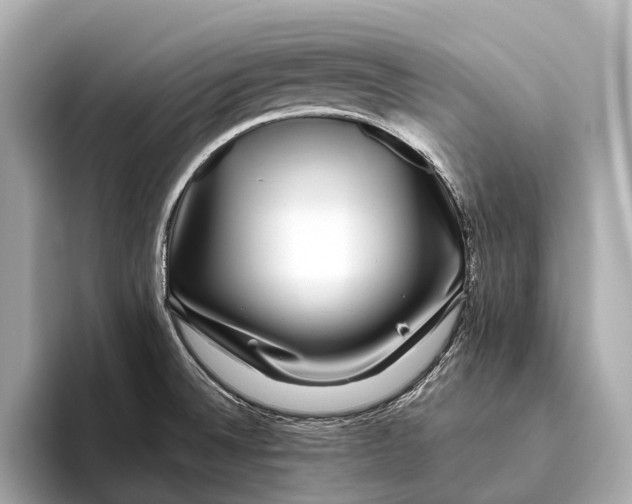 X0000093531524200711021301