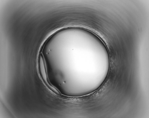 X0000093531525200711021301