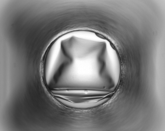 X0000093531526200711021301