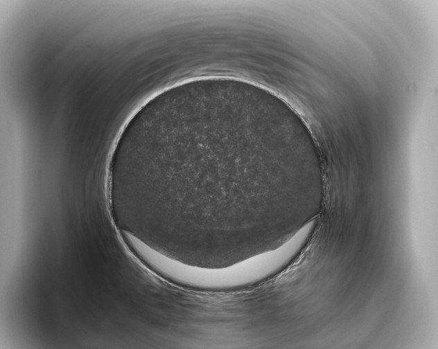 X0000093531527200711021301