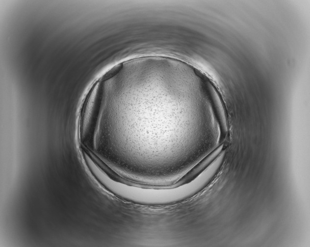 X0000093531528200711021301