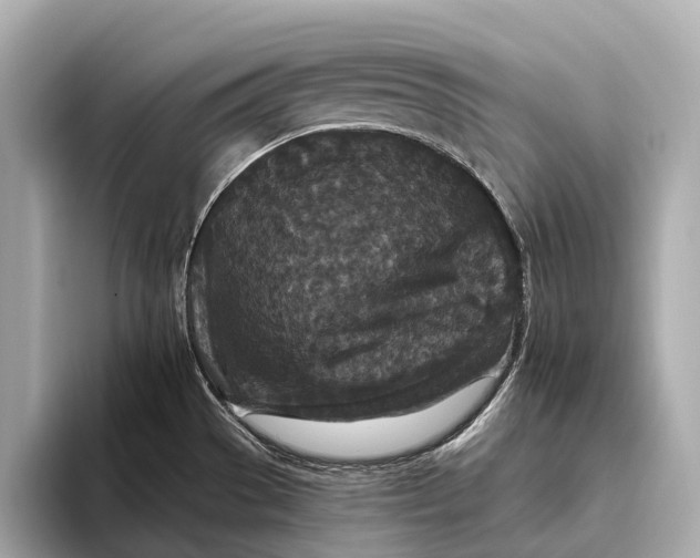 X0000093531529200711021301