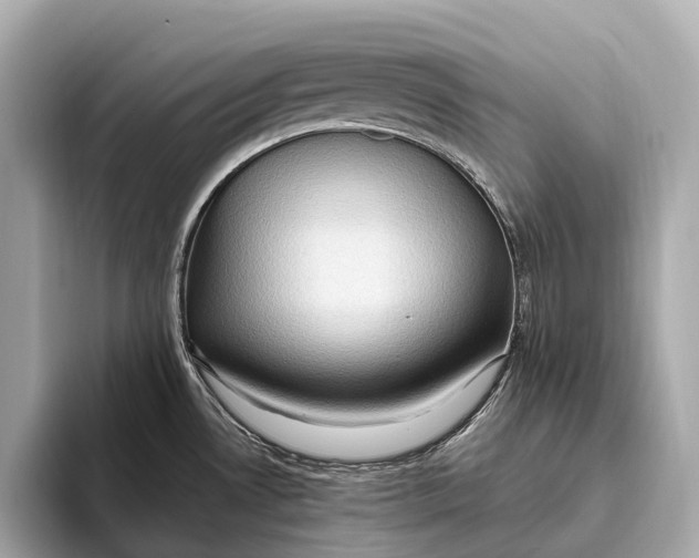 X0000093531530200711021301