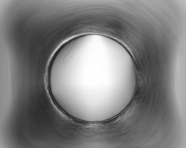 X0000093531531200711021301