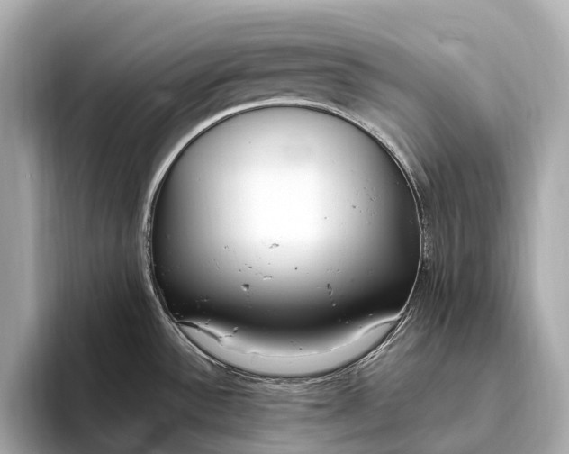 X0000093531532200711021301