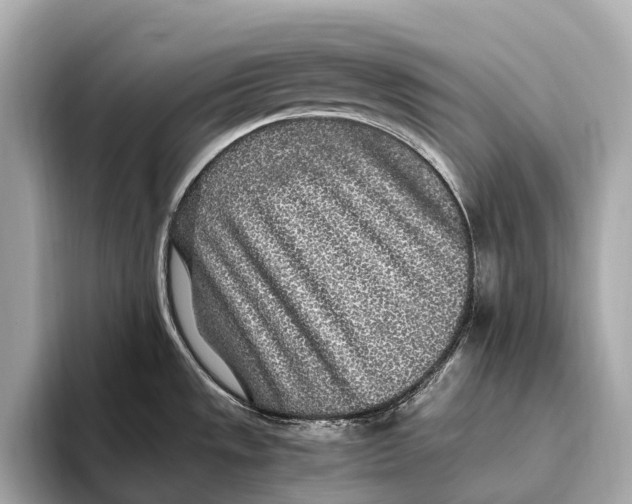 X0000093531533200711021301