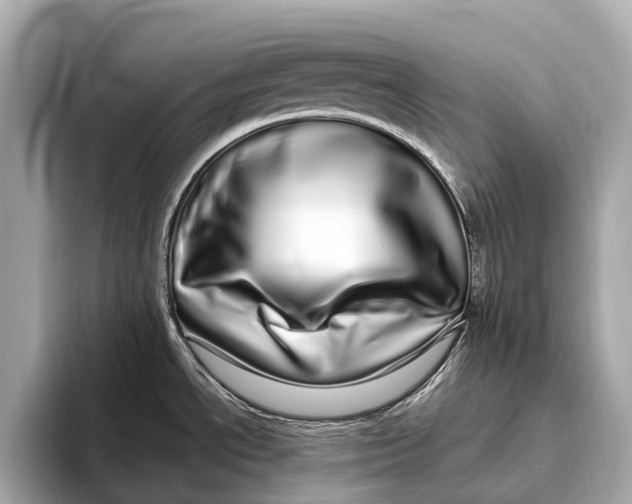 X0000093531534200711021301