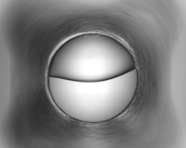 X0000093531536200711021301