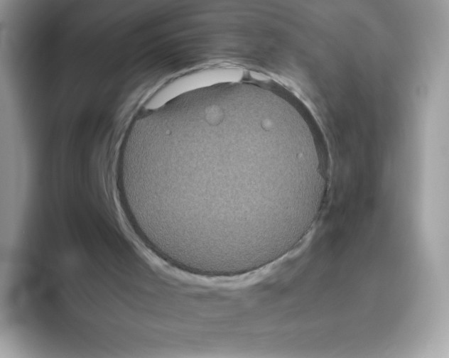 X0000093530001200711091806