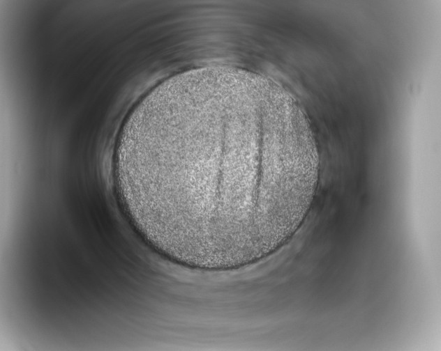 X0000093530002200711091806