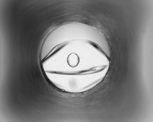 X0000093530003200711091806