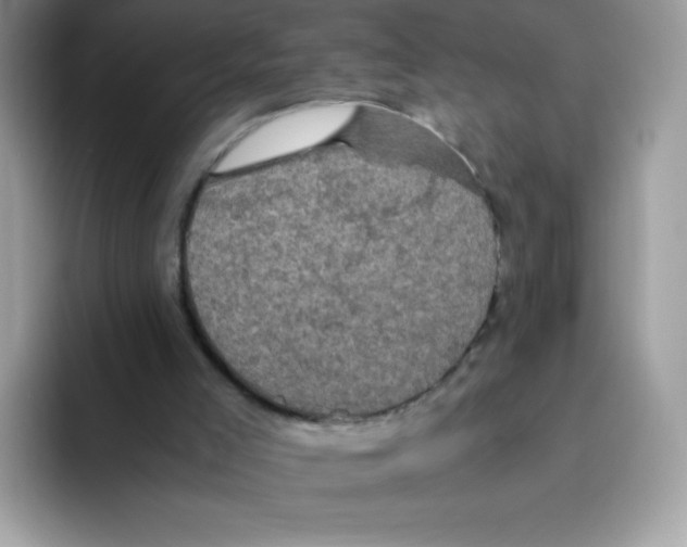 X0000093530005200711091806