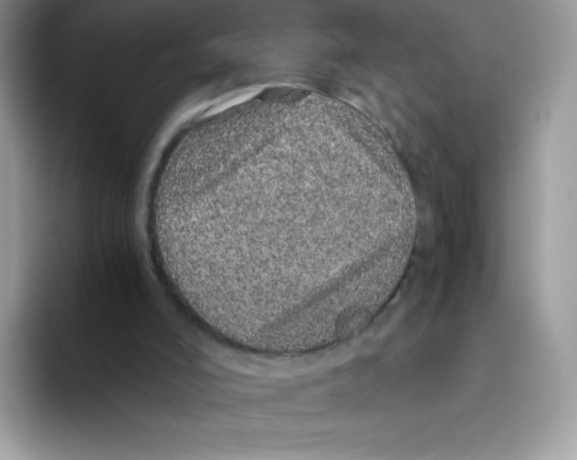 X0000093530006200711091806