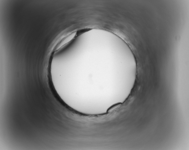 X0000093530007200711091806