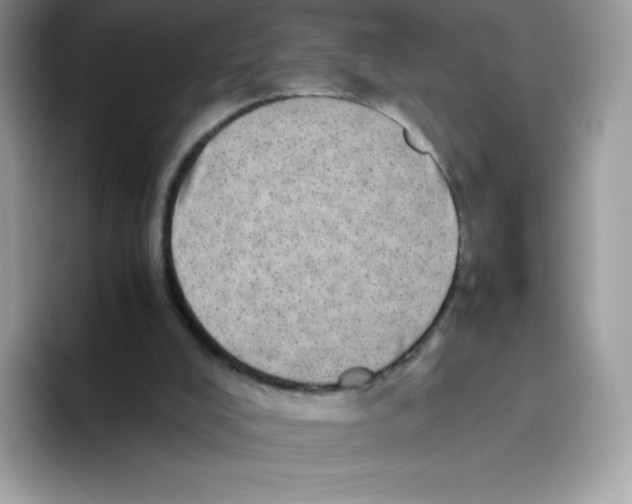 X0000093530008200711091806