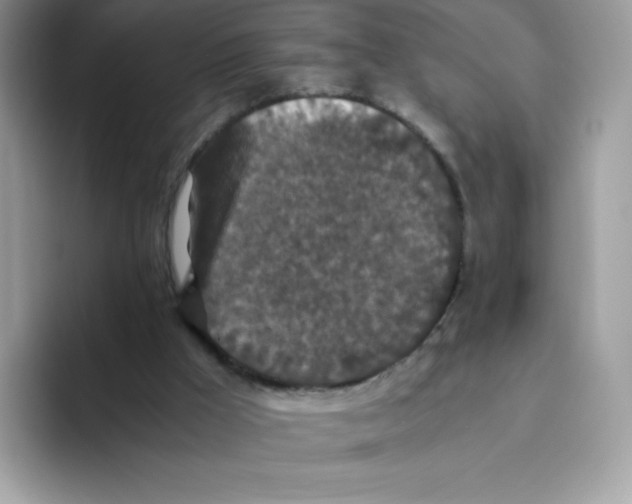 X0000093530009200711091806