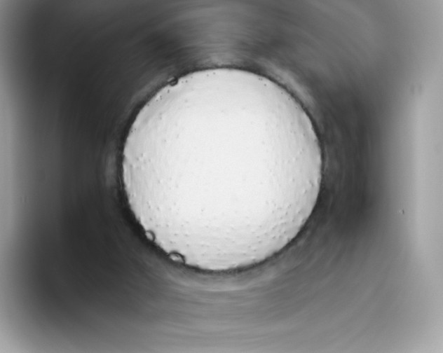 X0000093530010200711091806