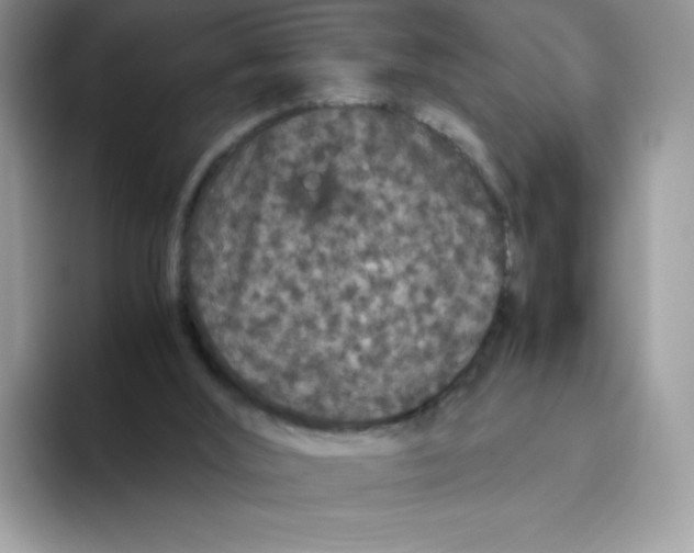 X0000093530012200711091806