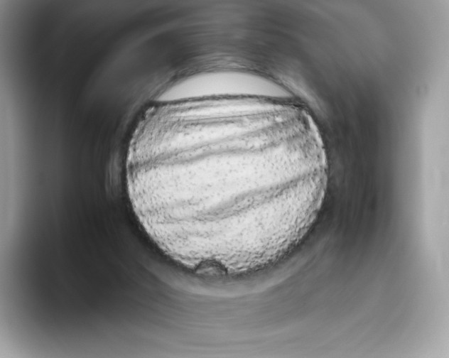 X0000093530014200711091806