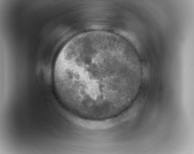 X0000093530016200711091806