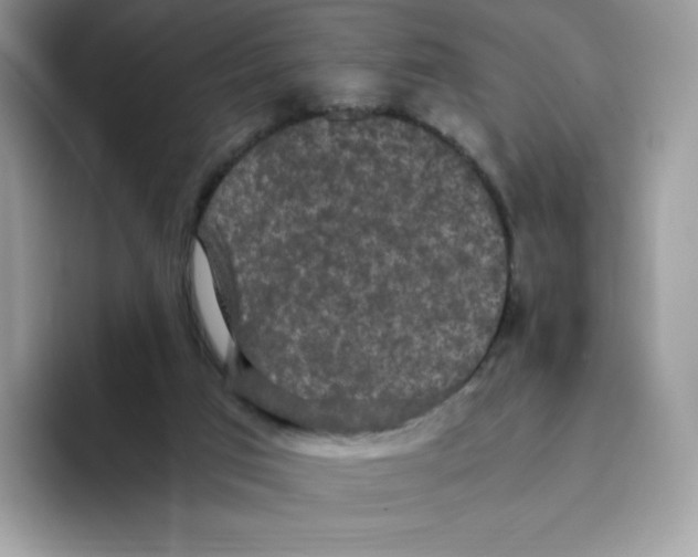 X0000093530017200711091806