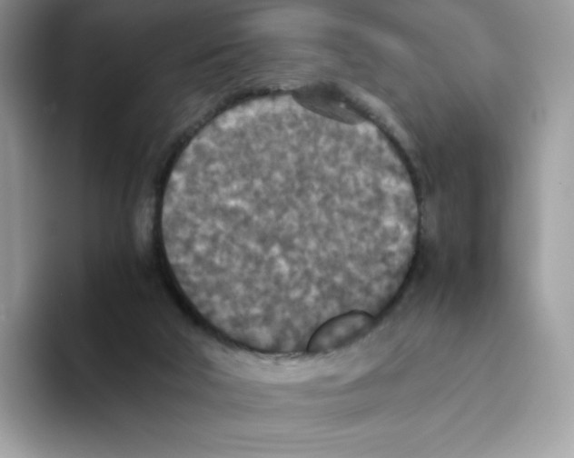 X0000093530018200711091806