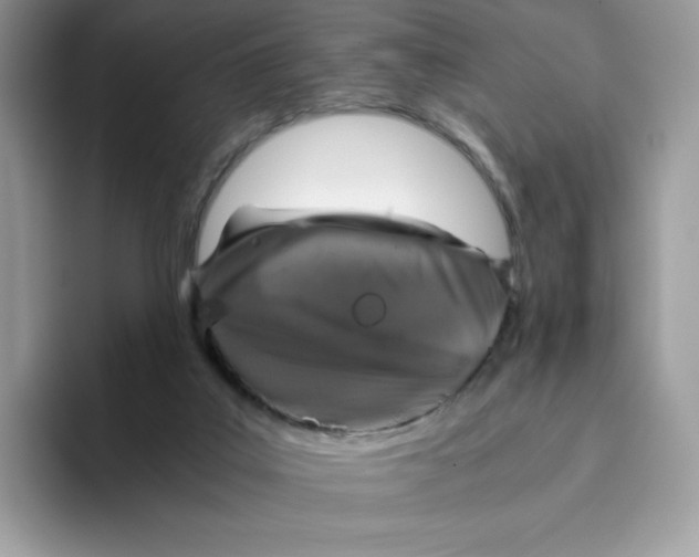 X0000093530019200711091806