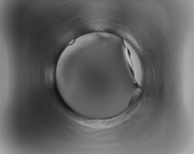 X0000093530023200711091806