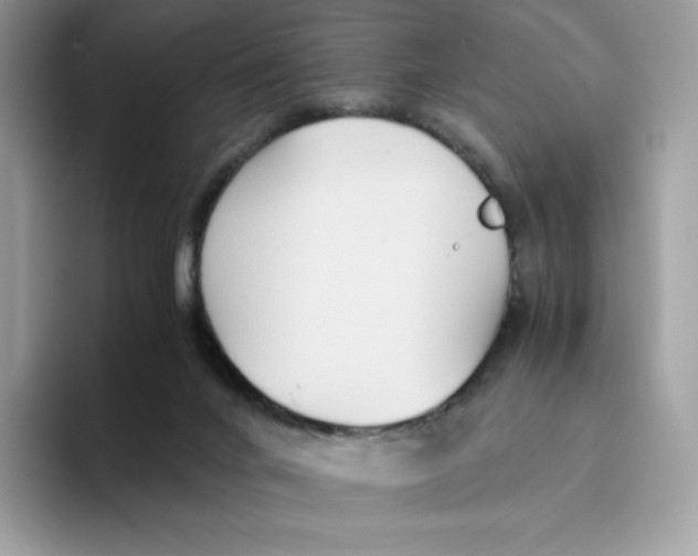 X0000093530024200711091806