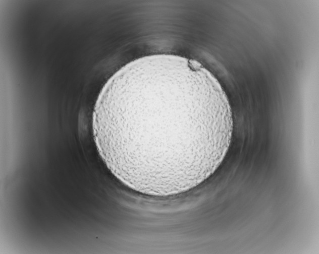 X0000093530026200711091806