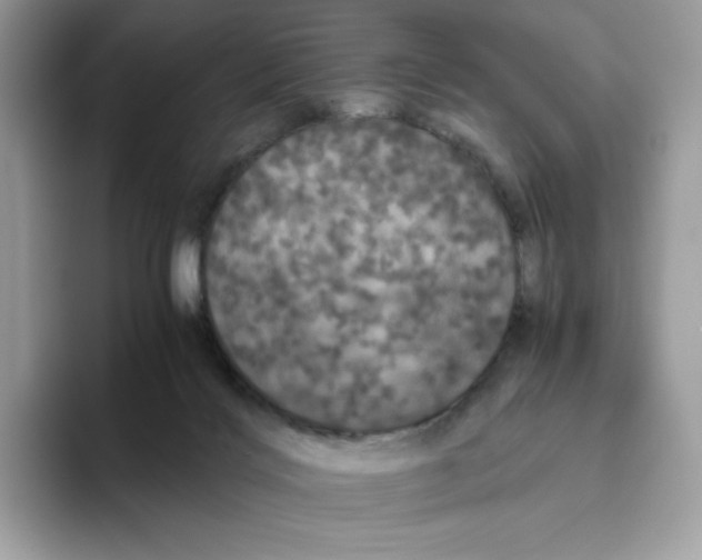 X0000093530028200711091806