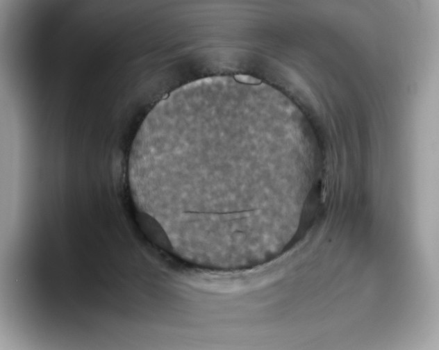 X0000093530029200711091806