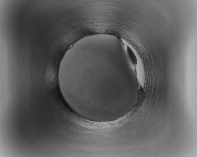 X0000093530031200711091806