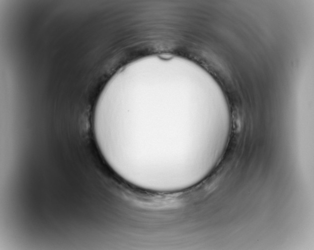 X0000093530032200711091806