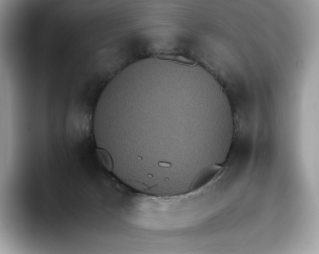 X0000093530033200711091806