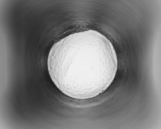 X0000093530034200711091806