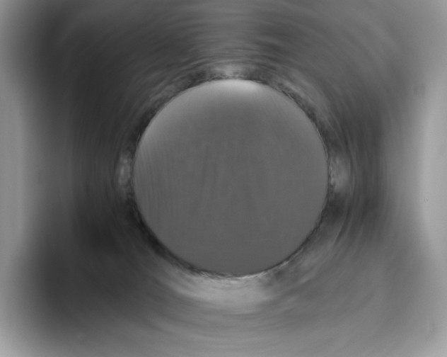 X0000093530036200711091806