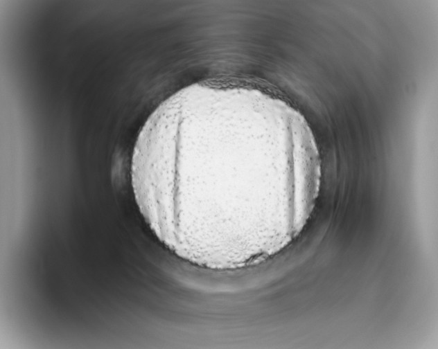 X0000093530038200711091806