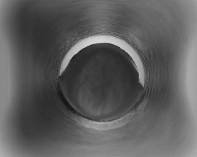 X0000093530039200711091806