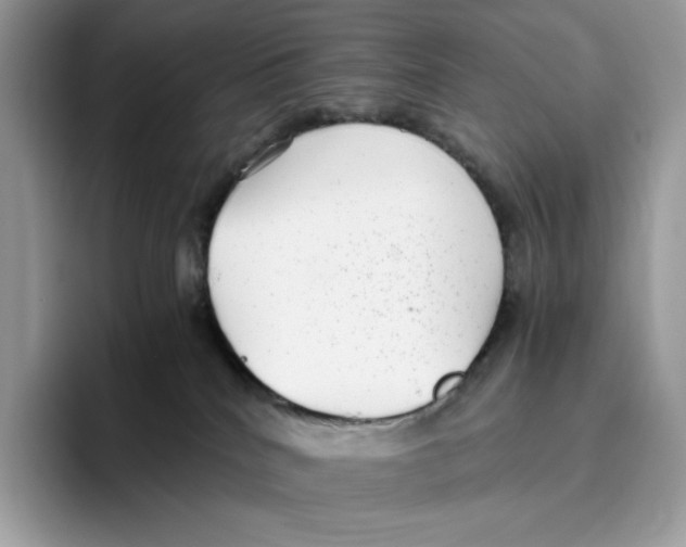X0000093530040200711091806